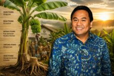 Almarhum Rachmat Gobel dan Falsafah Pohon Pisang (ChatGPT Image)